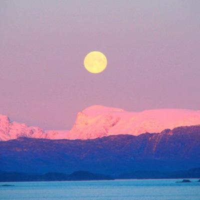 鳄鱼小顽皮找鸭子